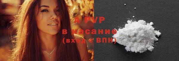 индика Балахна