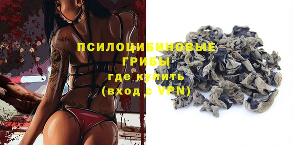 индика Балахна