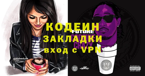 индика Балахна